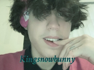 Kingsnowbunny