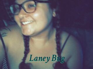 Laney_Bug