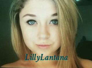 LillyLantana