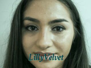LillyVelvet