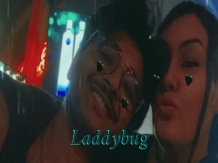 Laddybug