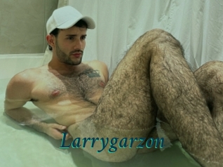 Larrygarzon