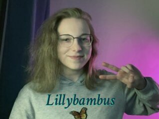 Lillybambus