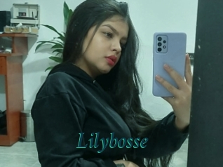 Lilybosse