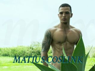 MATIUS_COSLINK