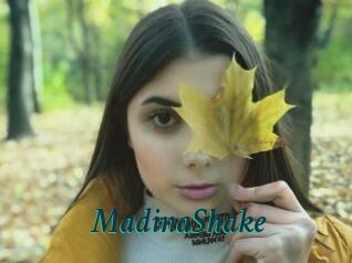 MadinaShake