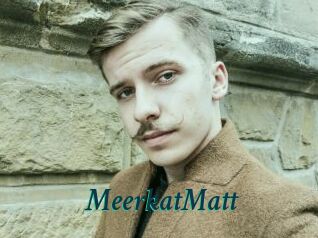 MeerkatMatt