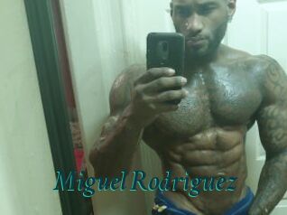 Miguel_Rodriguez