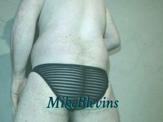 Mike_Blevins