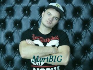 MortBIG