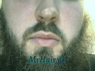 MrHairyJr