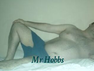 Mr_Hobbs