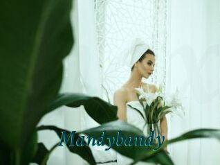 Mandybandy