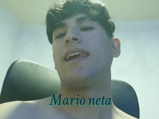 Mario_neta