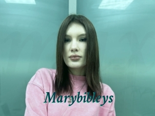 Marybibleys