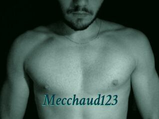 Mecchaud123