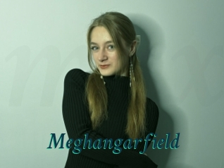 Meghangarfield