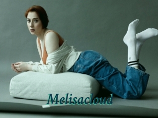 Melisacloud