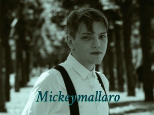 Mickeymallaro