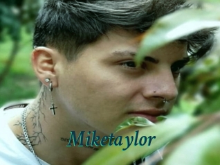 Miketaylor