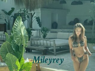 Mileyrey