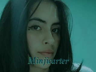 Minjicarter