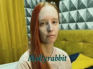 Mollyrabbit