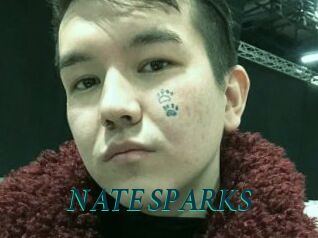 NATE_SPARKS