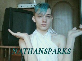 NATHAN_SPARKS