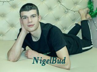 NigelBud