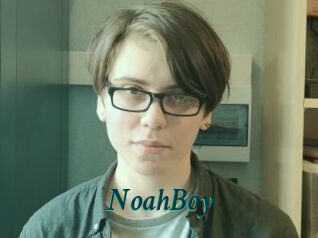 NoahBoy