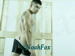 NoahFox