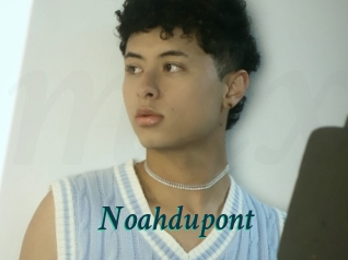 Noahdupont