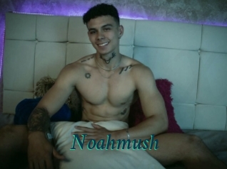 Noahmush