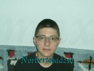 Norbertobadzso