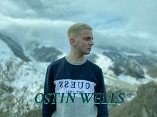 OSTIN_WELLS