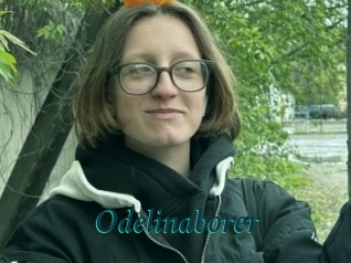 Odelinaborer