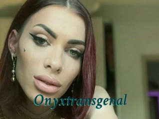 Onyxtransgenal