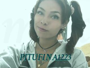 PITUFINA1223