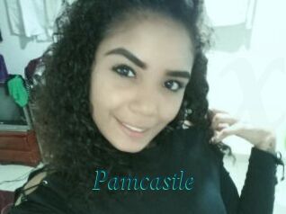 Pamcastle