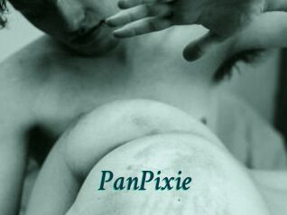 PanPixie