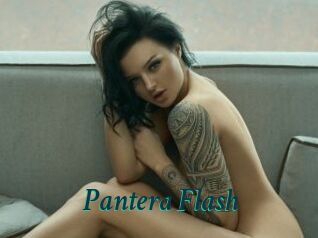 Pantera_Flash