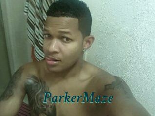 Parker_Maze