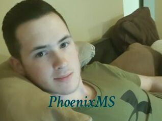 PhoenixMS