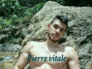 Pierre_vitale