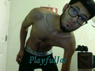 PlayfulJoe