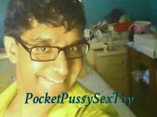 PocketPussySexToy