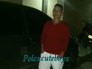 Polexcuteboyx