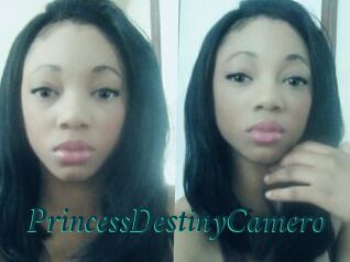 PrincessDestinyCamero