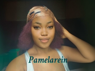 Pamelarein